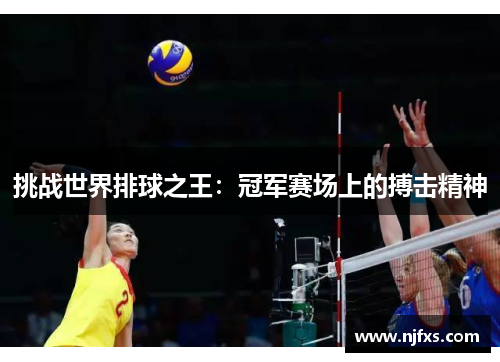 挑战世界排球之王：冠军赛场上的搏击精神
