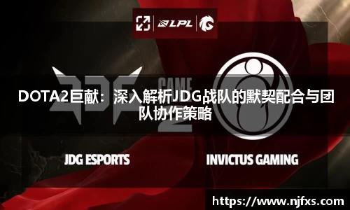 DOTA2巨献：深入解析JDG战队的默契配合与团队协作策略